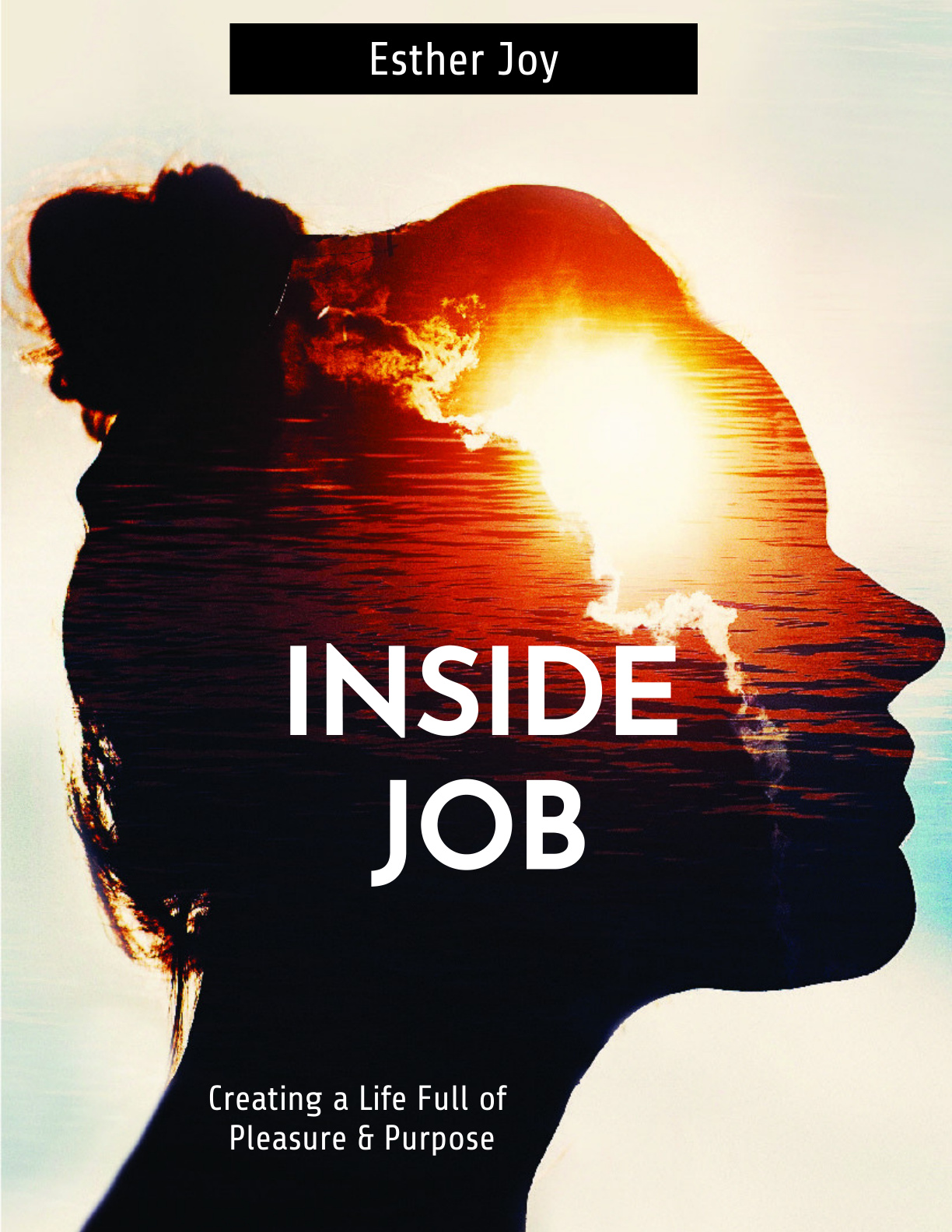 Inside Job book cover