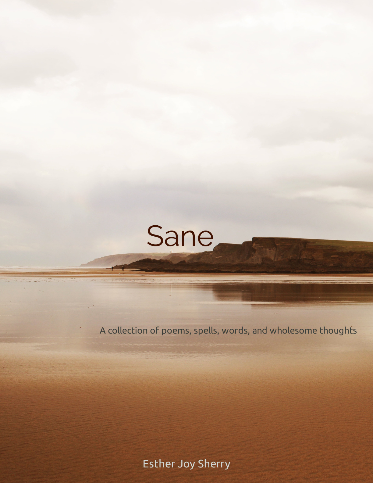 Sane book cover